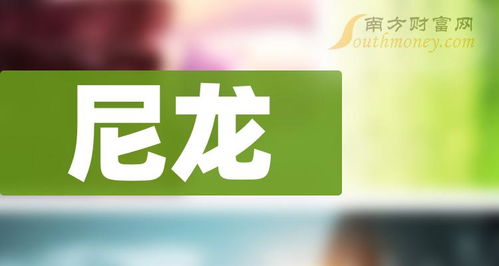 尼龍行業龍頭自貢企業，2024年3月8日網站解析